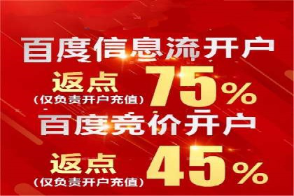 百度推广成功案例：打造行业领军品牌之路